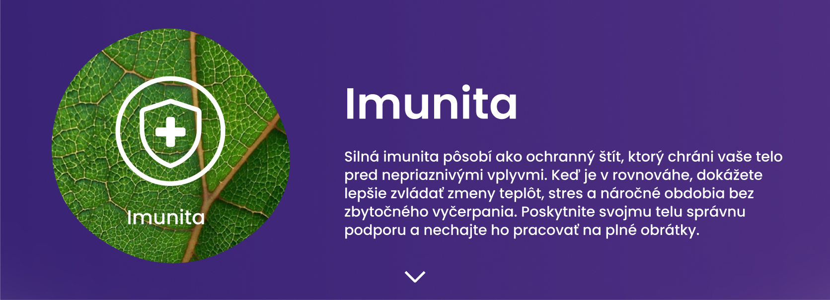 Imunita