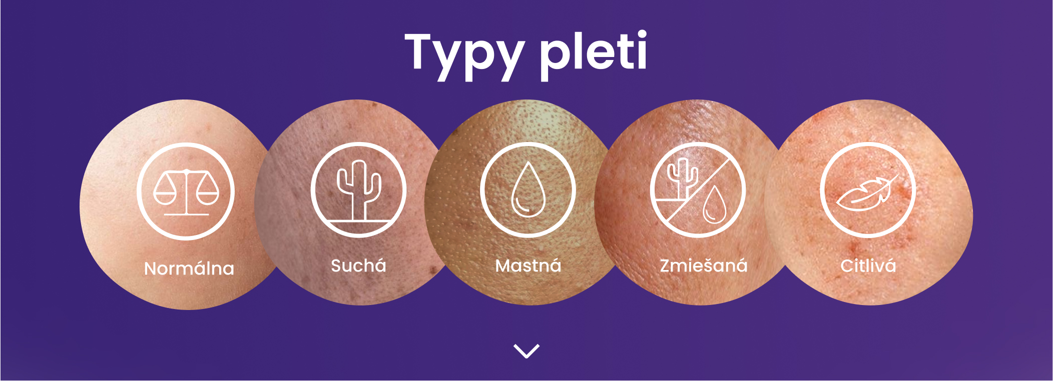 Typy pleti