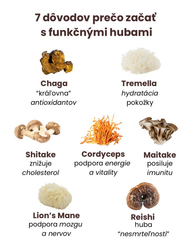 Funkčné huby: Tiché superhrdinky 😎 pre tvoje telo aj myseľ Sú to malé zázraky prírody, ktoré už tisícročia podporujú...